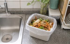 Cara Memilih Solusi Sampah Dapur Basah yang Realistis untuk Rumah